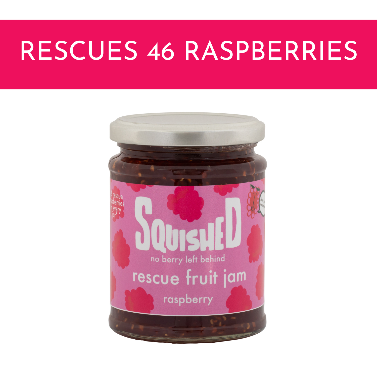 Rescue Raspberry Jam